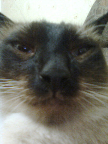 Антон Жилинский