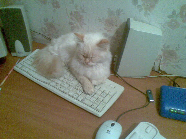 Татьяна Ромасева