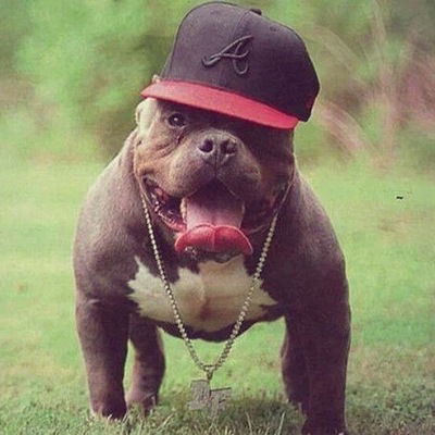 Артём Эйсфельд