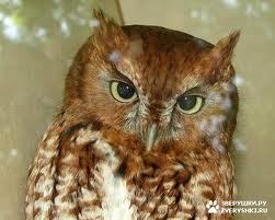 Нина Могилкина