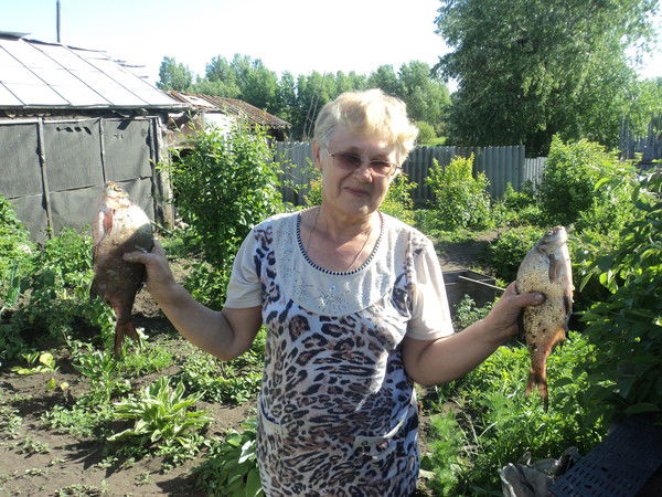 Надежда Хорошева