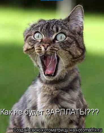 Нина Карева