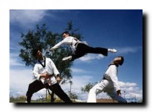 Владимир Панихин