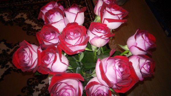 Анна Наседкина