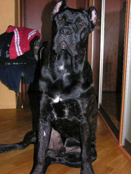 Екатерина Рыбкина