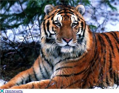 Наталья Якуш