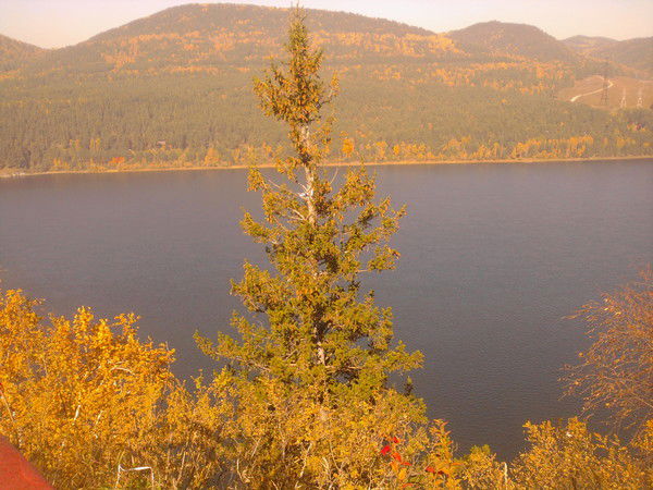 Ирина Ивлева