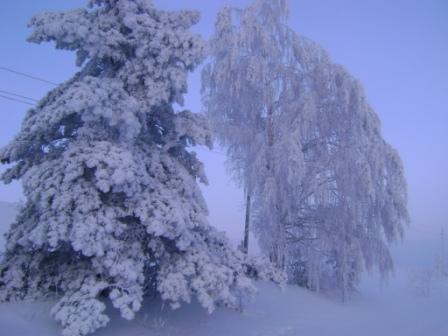 Валентина Дурновцева