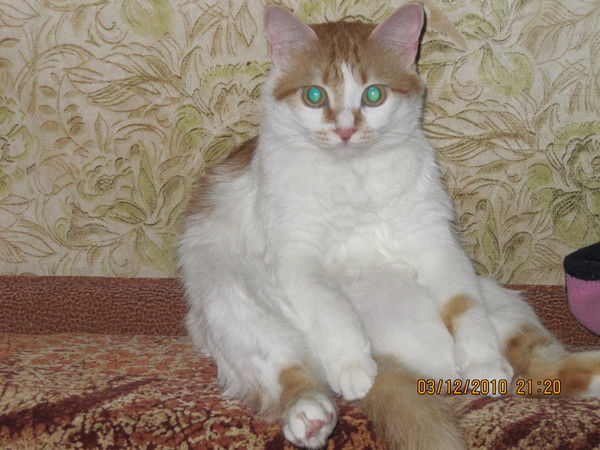 Саша Нестеров