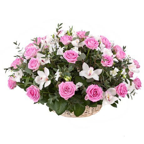 Айнагуль Касенова