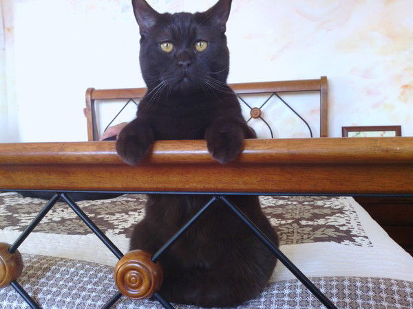 Ирина Демчук