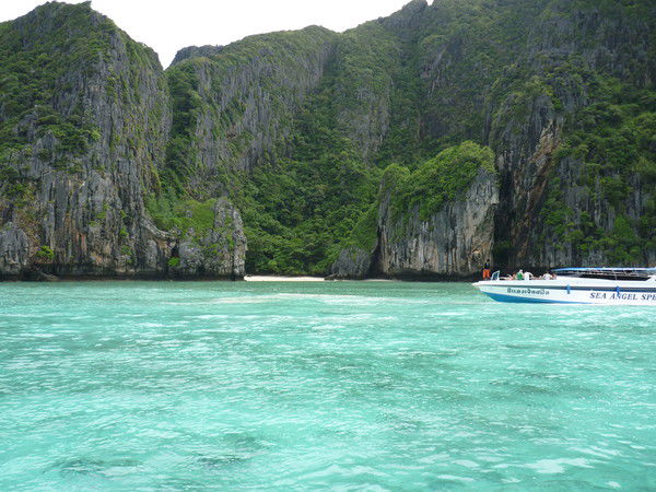 Дмитрий Дмитриев