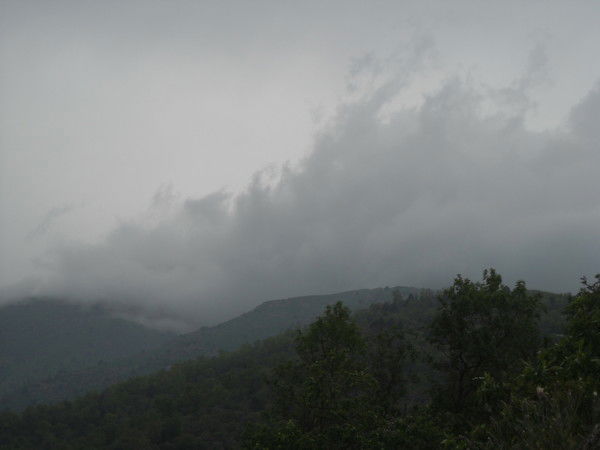 Улугбек Ахмедов