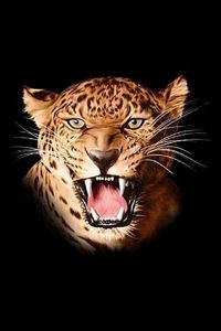 Евгений Аниканов