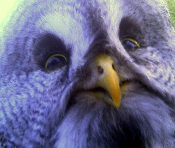 Юрий Петрович