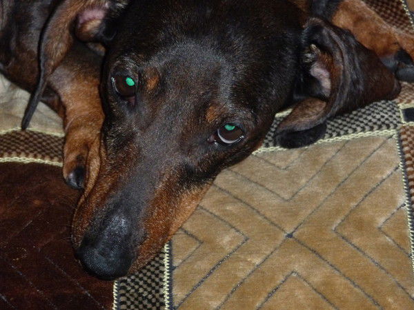 Антон Латюк