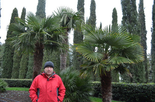 Валера Семенов