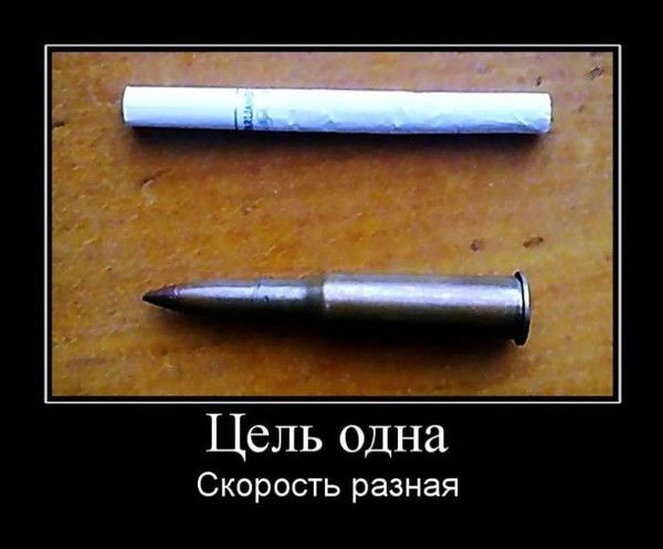 Одинокий Волк