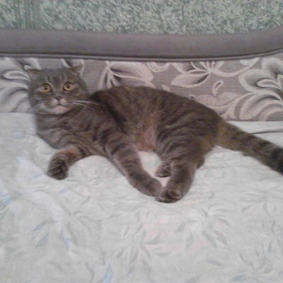 Лиза Крылова