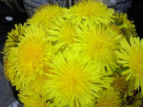 Любовь Шерстобитова