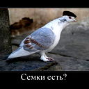 Ŗǻźбįŧąÿā™ Аватария