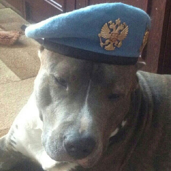 Павел Пеньков