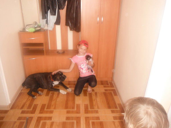 Ангелина Городовая