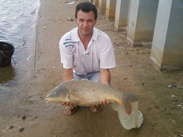 Сергей Архиреев