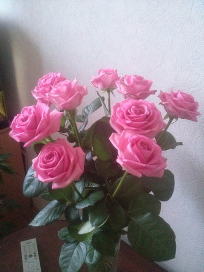 Людмила Москалева