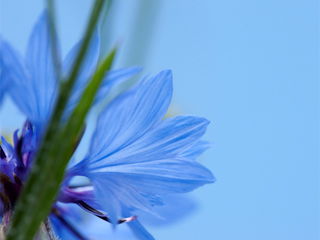 Зульфия Каримбаева