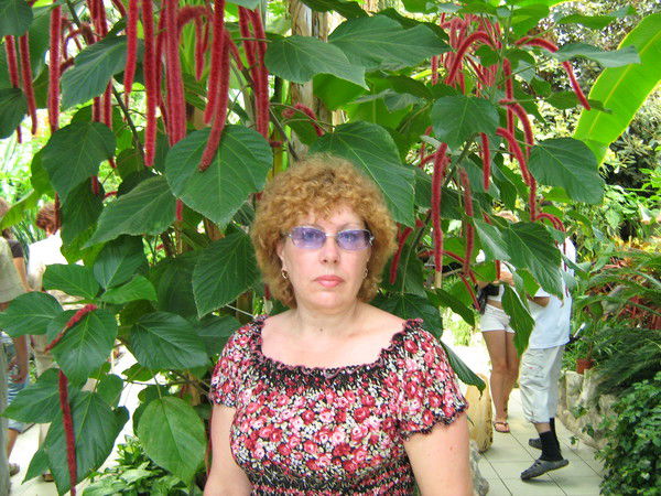 Надежда Азанова