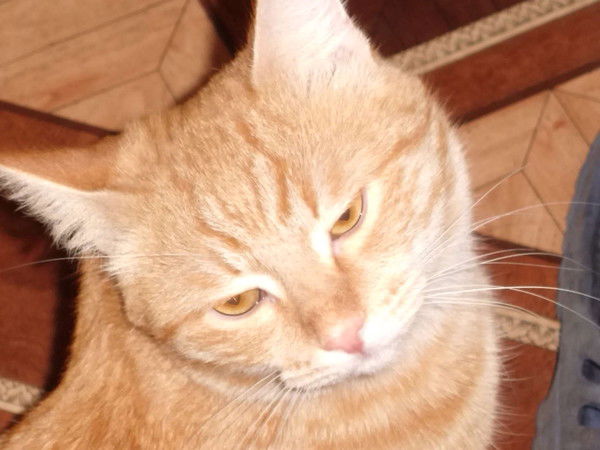 Людмила Лебедева