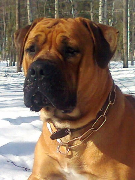 Надежда Морозова