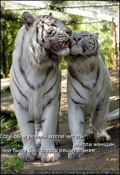 Огневушка- Поскакушка