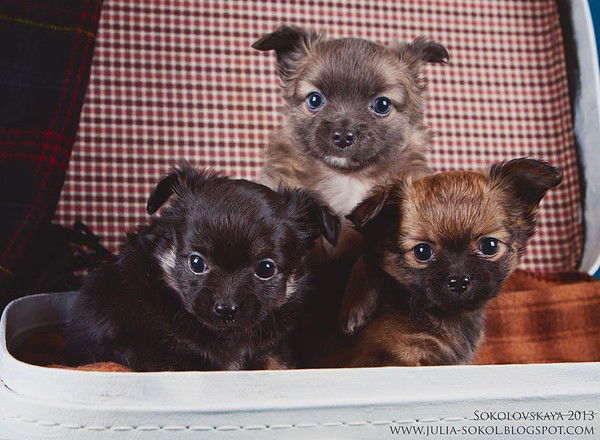 Наталья Казарина