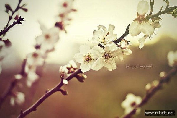 Ирина Малкова