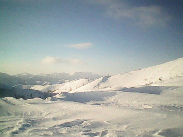 Андрей Колосов