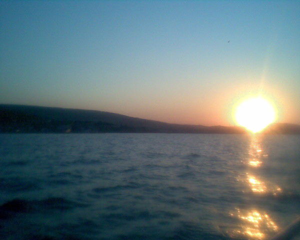 Елена Волынова