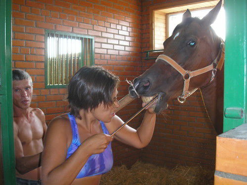 Мария Горовая