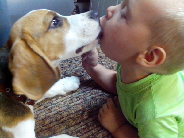 Максим Мельников