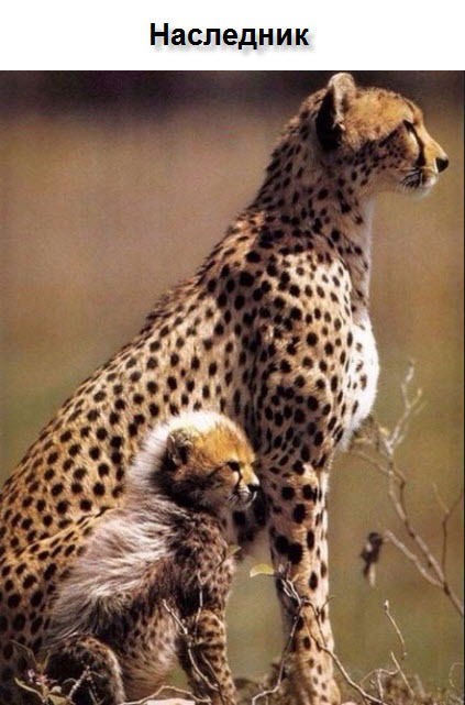 Александра Резвых