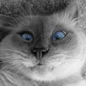 Ваня Крузенштерн