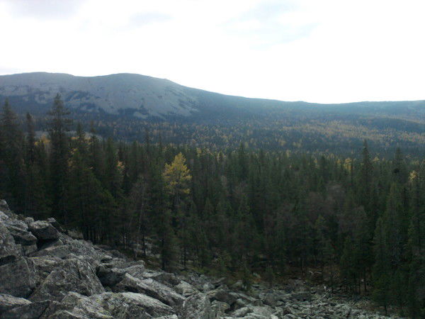 Ольга Вириялова