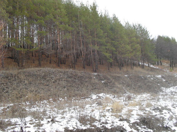 Дмитрий Семенов