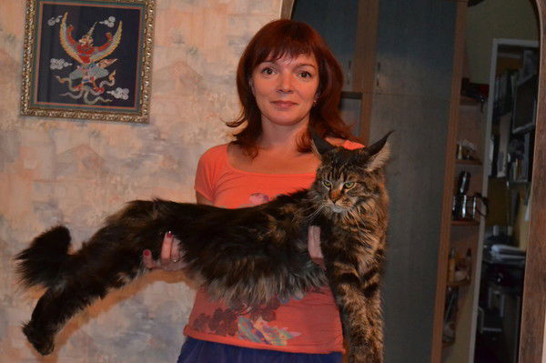 Татьяна Баева