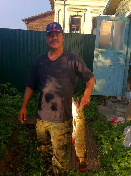 Марат Хасанов