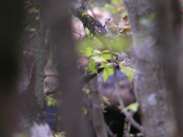 Ирина Бутенко