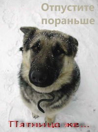 Лизунчик Паздникова