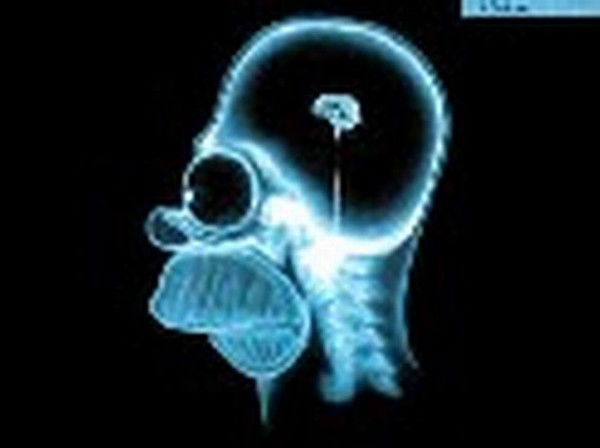 Максим Бондаренко