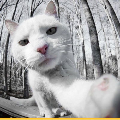 Вадим Чумбаев